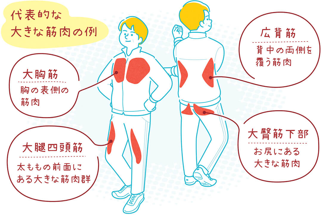 testosterone-cut02